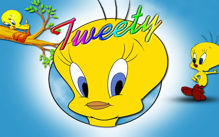 Tweety Bird Cartoon Hd Wallpapers For Mobile Phones Tablet And Laptop 1920×1200, HD wallpaper