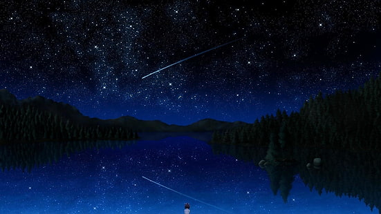 meteor, shooting star, night, night sky, starry, stars, space, HD wallpaper HD wallpaper