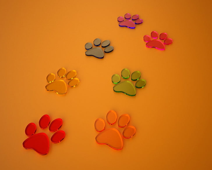 3D, dog, footprints, HD wallpaper