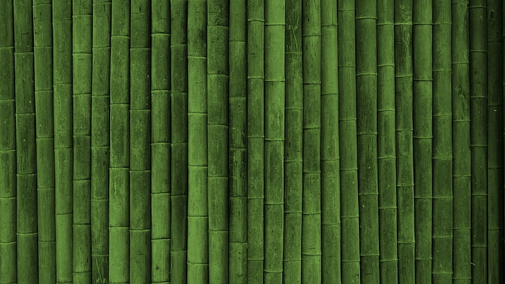 minimalisme, bambou, Fond d'écran HD