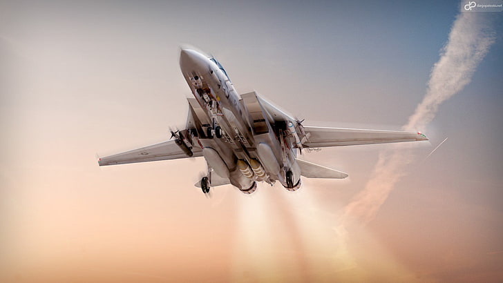 biały myśliwiec, f14, samolot, samolot, F-14 Tomcat, wojskowy, samolot wojskowy, Tapety HD