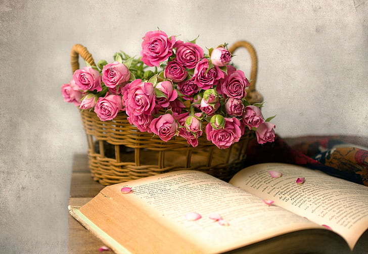rose, flowers, books, baskets, pink flowers, HD wallpaper