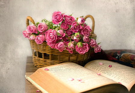 rose, flowers, books, baskets, pink flowers, HD wallpaper HD wallpaper