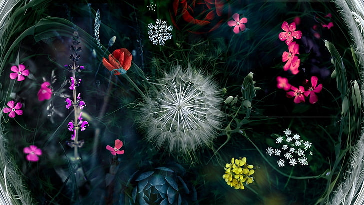 schwarzes und rotes Blumentextil, Blumen, rote Blumen, Rose, gelbe Blumen, Löwenzahn, rosa Blumen, Pflanzen, Blütenblätter, Collage, Mohnblumen, HD-Hintergrundbild