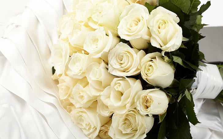 흰 장미 꽃다발, 흰 장미 꽃다발, 꽃, 1920x1200, 장미, HD 배경 화면