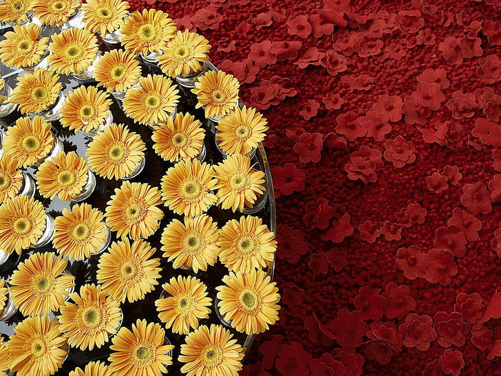 Floral Art Exhibition, yellow flower design, exhibition, floral, HD wallpaper