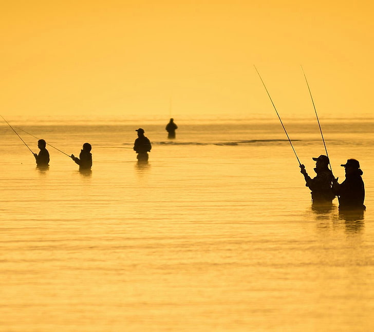 صيد السمك، خلفية HD