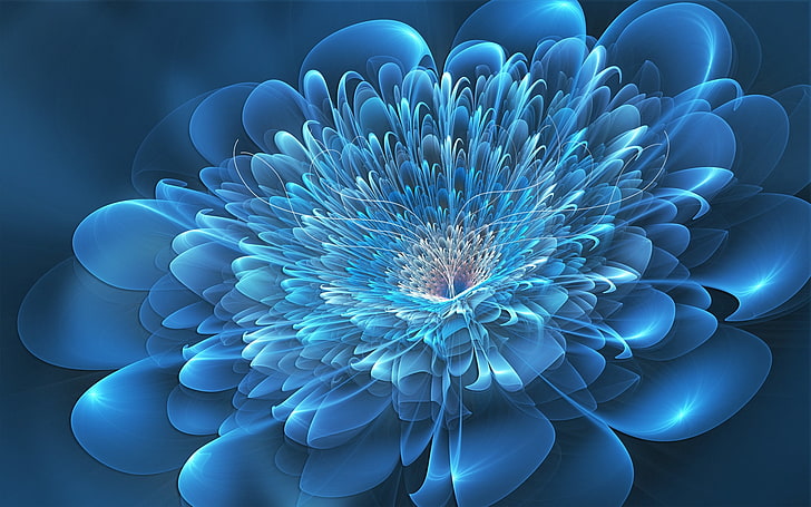 blue petaled flower wallpaper, flower, white, background, HD wallpaper