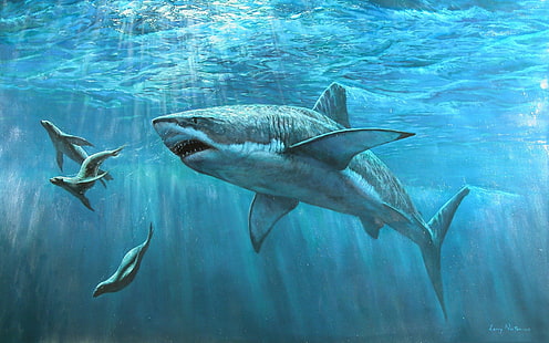 stor vit haj simning nära tre sälar målning, WATER, VÄRLDEN, UNDERWATER, OCEAN, SEALS, SHARK, SEA, HD tapet HD wallpaper