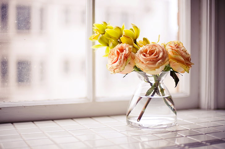 세 핑크 장미, 장미, 꽃, 꽃다발, 빛, 상자, HD 배경 화면