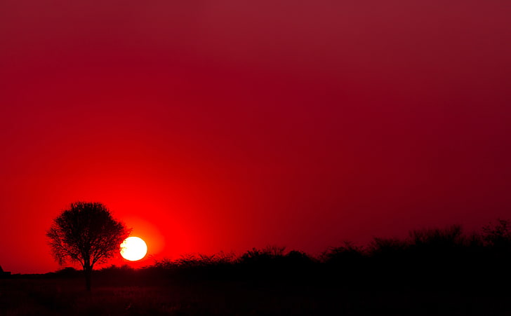 Red Sunset, Botswana, Africa HD Wallpaper, albero silhouette, viaggi, Africa, Sunset, redsunset, botswana, Sfondo HD