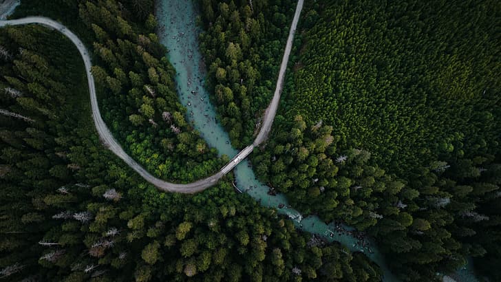 природа, дървета, река, гора, скали, въздушен изглед, снимка на дрон, Канада, HD тапет