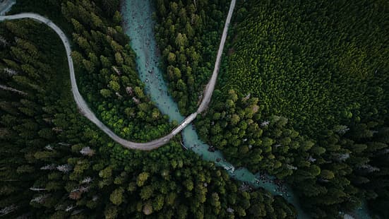 natureza, árvores, rio, floresta, rochas, vista aérea, foto de drone, Canadá, HD papel de parede HD wallpaper