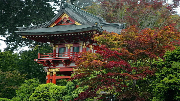 california, francisco, garden, gate, japanese, san, tea, temples, HD wallpaper