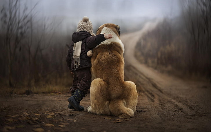short-coated brown and white dog, animals, dog, children, depth of field, winter, friendship, HD wallpaper