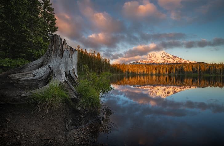 autumn, forest, lake, reflection, mountain, stump, Washington State, Mount Adams, Takhlakh Lake, Washington, Lake Tahlo, HD wallpaper