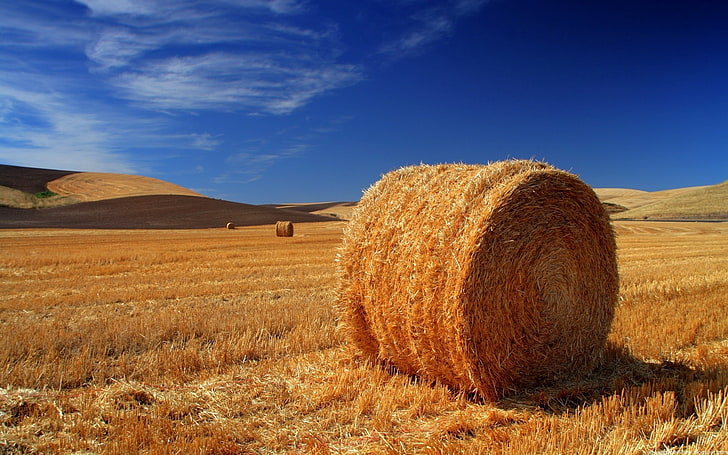 brown hay, hay, bale, field, agriculture, straw, HD wallpaper