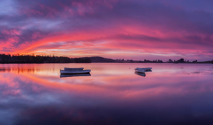 three white boats on body of water in distant of trees during dusk, white, body of water, distant, trees, dusk, Scotland, Trossachs, Loch Lomond, National Park, Loch Rusky, reflections, Rowing boat, Boats, Sunrise, Dawn, Landscape, Canon 6D, 35mm, f4, USM, sunset, nature, lake, reflection, water, outdoors, sky, nautical Vessel, sunrise - Dawn, tranquil Scene, scenics, summer, HD wallpaper