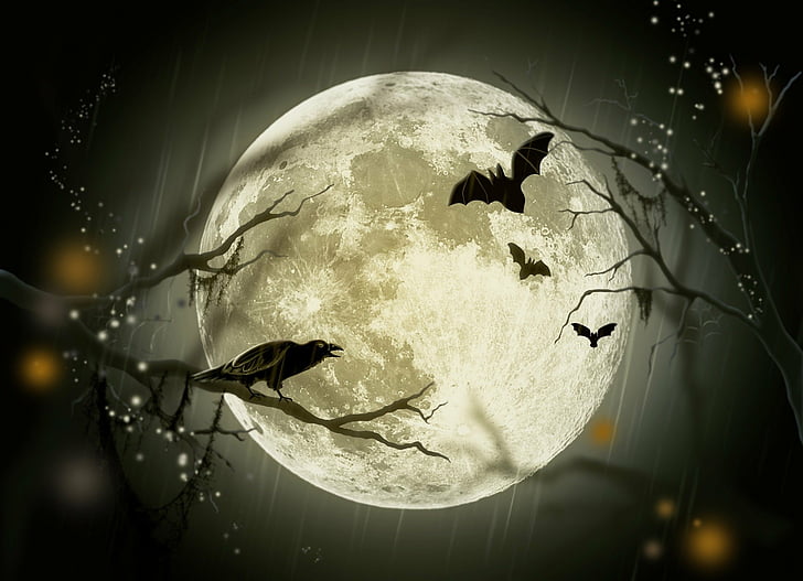 Праздник, Хэллоуин, Летучая мышь, Птица, Ворона, Луна, HD обои