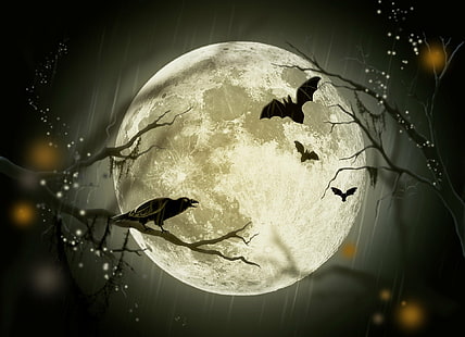 Праздник, Хэллоуин, Летучая мышь, Птица, Ворона, Луна, HD обои HD wallpaper