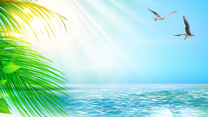 Sunshine Isl, island, soft, sunshine, sea birds, bright, tree, birds, vacation, ocean, warm, light, blue, HD wallpaper
