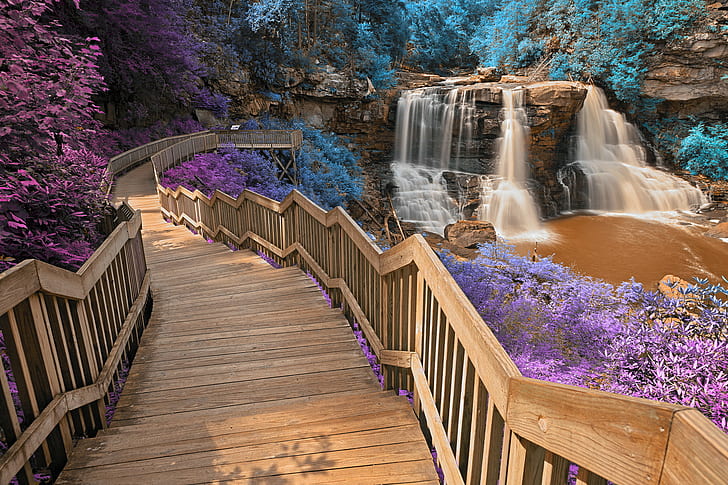 brown wooden stairs surrounded by purple and blue petal flower plant near water falls, blackwater falls, inca, blackwater falls, inca, Blackwater Falls, Inca, Summer, HDR, stairs, purple, blue, petal, flower, plant, water falls, waterfall, cascades, fluid, stream, river, staircase, stairway, steps, path, passage, passageway, corridor, architecture, railing, planks, forest, wood, foliage, leaves, trees, rock, stone, landscape, nature, scene, scenic, scenery, background, canaan valley, allegheny, appalachian mountains, west virginia, usa, united states, america, beauty, beautiful, pretty, epic, surreal, ethereal, fantasy, dreamy, lines, curves, travel, tourism, long exposure, motion, purple  violet, magenta, cyan, brown, orange, white, colorful, color, colour, ca, water, outdoors, tree, scenics, HD wallpaper