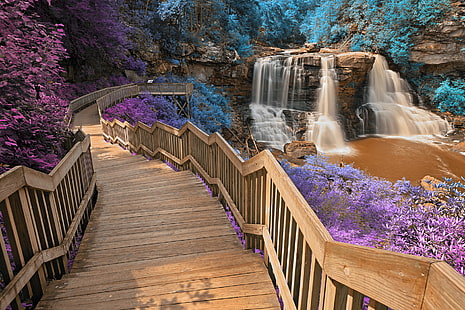 brown wooden stairs surrounded by purple and blue petal flower plant near water falls, blackwater falls, inca, blackwater falls, inca, Blackwater Falls, Inca, Summer, HDR, stairs, purple, blue, petal, flower, plant, water falls, waterfall, cascades, fluid, stream, river, staircase, stairway, steps, path, passage, passageway, corridor, architecture, railing, planks, forest, wood, foliage, leaves, trees, rock, stone, landscape, nature, scene, scenic, scenery, background, canaan valley, allegheny, appalachian mountains, west virginia, usa, united states, america, beauty, beautiful, pretty, epic, surreal, ethereal, fantasy, dreamy, lines, curves, travel, tourism, long exposure, motion, purple  violet, magenta, cyan, brown, orange, white, colorful, color, colour, ca, water, outdoors, tree, scenics, HD wallpaper HD wallpaper