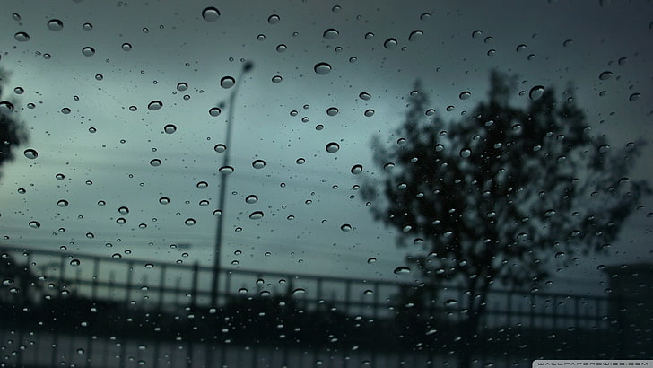 bąbelki wody, deszcz, Tapety HD