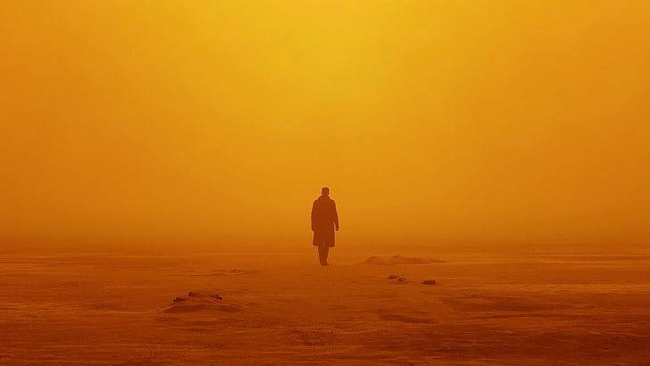 силуетна снимка на изправен човек, Blade Runner 2049, офицер K, HD, HD тапет