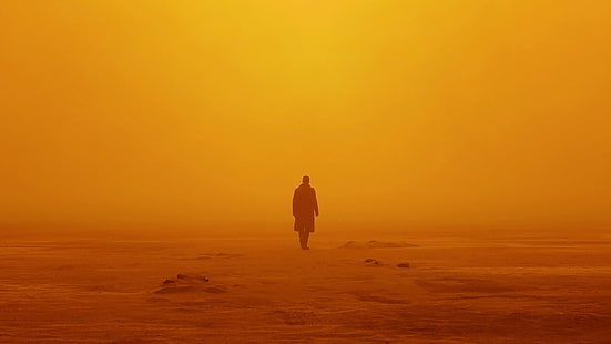 foto siluet pria berdiri, Blade Runner 2049, Petugas K, HD, Wallpaper HD HD wallpaper