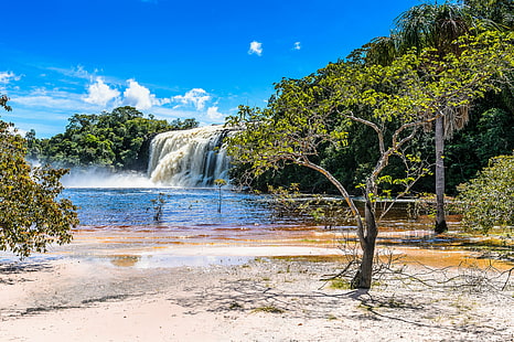 canaima, pantai, alam, taman, sungai, venezuela, air terjun, Wallpaper HD HD wallpaper
