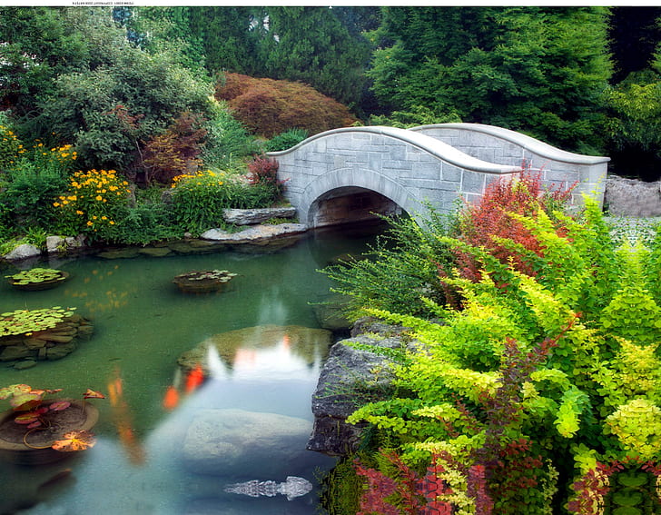 The Wishing Bridge, ontario, bridge, park, pond, plants, trees, niagra falls, walking bridge, 3d and abstract, Sfondo HD