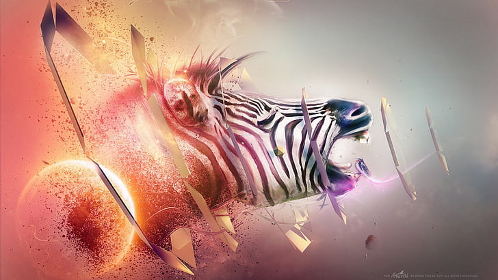 Zebras, zerschmettert, Tiere, digitale Kunst, Formen, Adam Spizak, HD-Hintergrundbild
