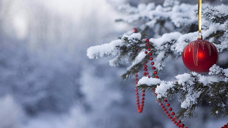 neve, albero di natale, nevoso, inverno, ramo, congelamento, brina, giorno di natale, albero, natale, ramoscello, abete, pino, decorazione natalizia, abete rosso, conifera, Sfondo HD