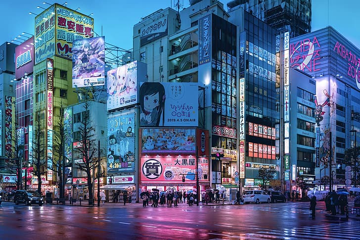 Akihabara, Tokio, fotografia, ulica, samochód, odbicie, latarnia uliczna, ludzie, Tapety HD