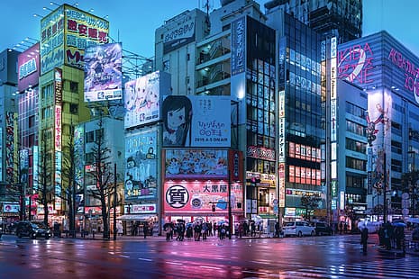 Akihabara, Tokyo, fotoğrafçılık, sokak, araba, yansıma, sokak lambası, insanlar, HD masaüstü duvar kağıdı HD wallpaper