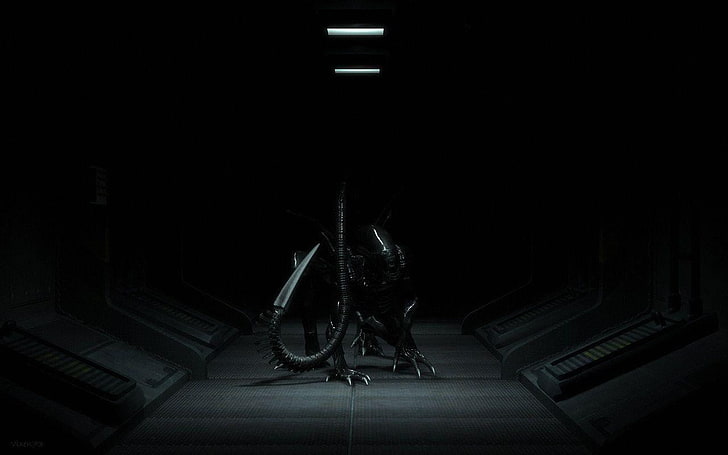 Alien (film), Xenomorph, Wallpaper HD
