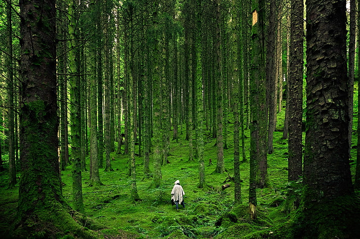 man, forest, trees, mantle, wanderer, travel, HD wallpaper
