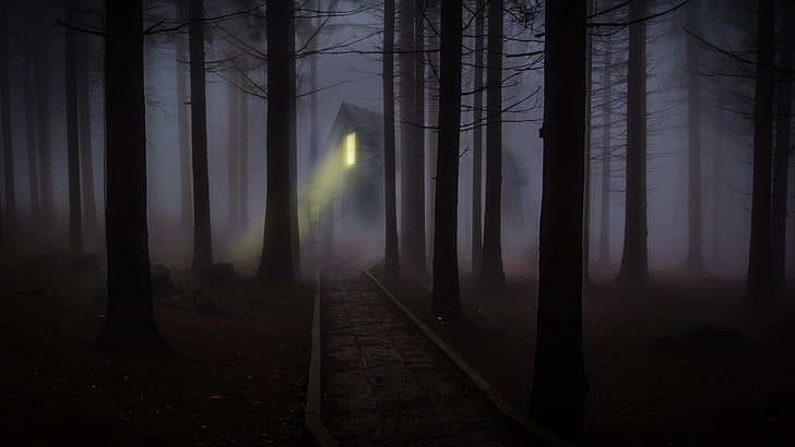 дерево, призрак, еловый еловый лес, дом с привидениями, полночь, ночь, жуткий, сумерки, туман, хэллоуин, дом, мистик, свет, тьма, атмосфера, деревья, леса, туман, лес, HD обои