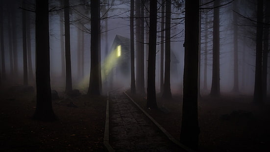 дерево, призрак, еловый еловый лес, дом с привидениями, полночь, ночь, жуткий, сумерки, туман, хэллоуин, дом, мистик, свет, тьма, атмосфера, деревья, леса, туман, лес, HD обои HD wallpaper