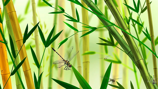 Ilustración de libélula negra y amarilla y bambúes verdes, naturaleza, collage, planta, libélula, bambú, insecto, Fondo de pantalla HD HD wallpaper
