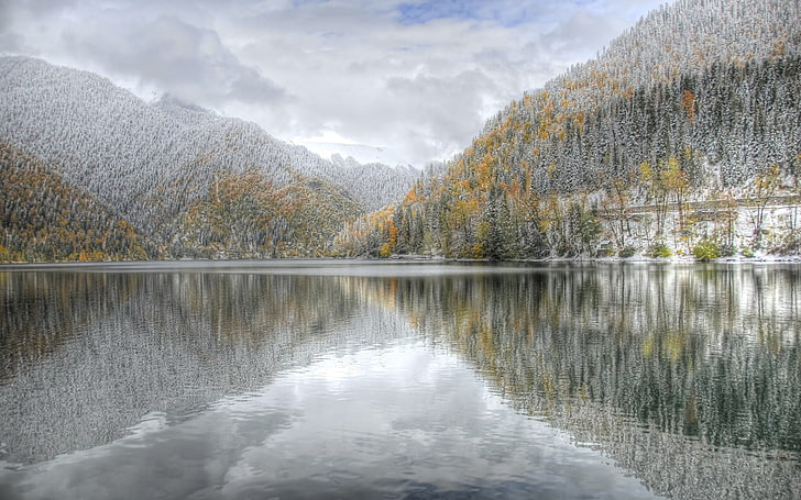 green pine trees, lake, winter, snow, hoarfrost, cool, reflection, ripples, HD wallpaper