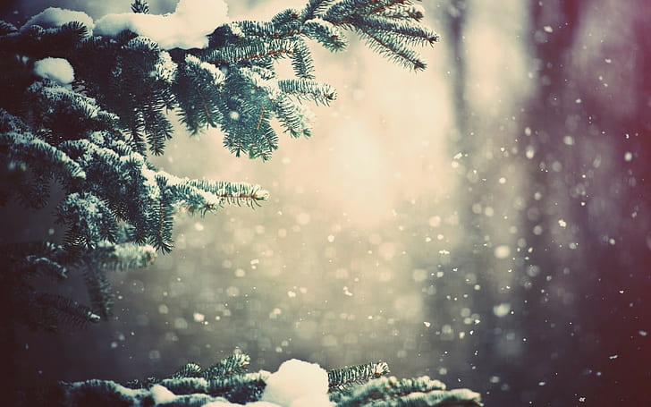сняг, природа, зима, дървета, клон, снежен връх, цифрово изкуство, HD тапет