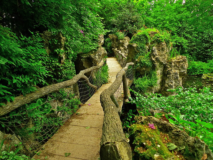 puente de hormigón gris, verdes, hojas, ramas, puente, estanque, piedras, Francia, París, jardín, arbustos, jardines japoneses Albert-Kahn, Fondo de pantalla HD