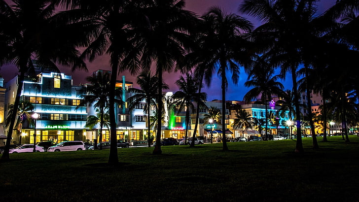 Florida, Miami, Palm Trees, South Beach, HD wallpaper