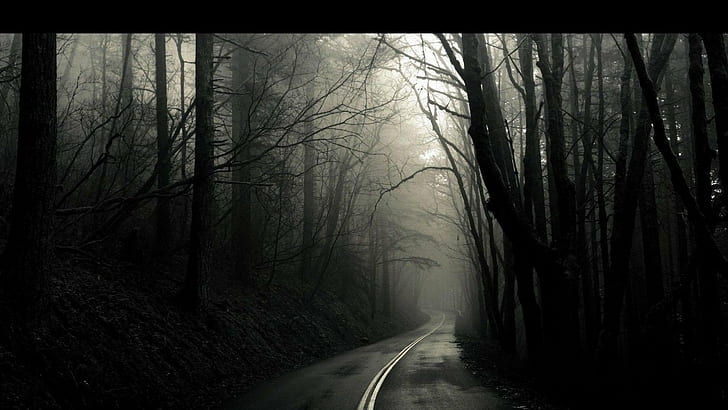 Dark, Eerie, Nightmare, nowhere, road, Trees, HD wallpaper