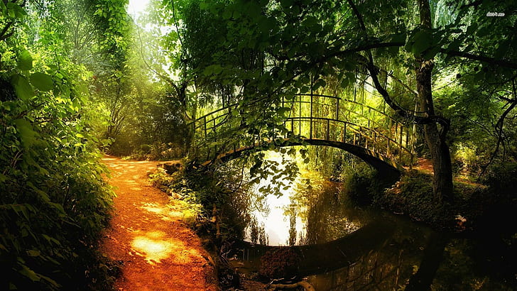 Мост с малка арка, оранжев, пътека, мост, арка, природа, листа, зелено, гора, дървета, архитектура, метал, вода, HD тапет