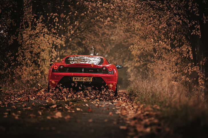 rojo Ferrari 458 Italia coupe, coche, Ferrari, hojas, carretera, Fondo de pantalla HD