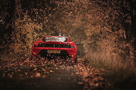 rojo Ferrari 458 Italia coupe, coche, Ferrari, hojas, carretera, Fondo de pantalla HD HD wallpaper