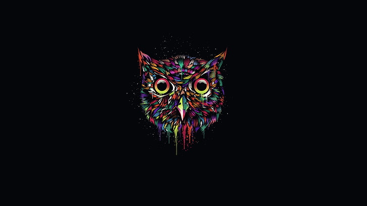 multicolored owl illustration, the dark background, owl, paint, minimalism, HD wallpaper
